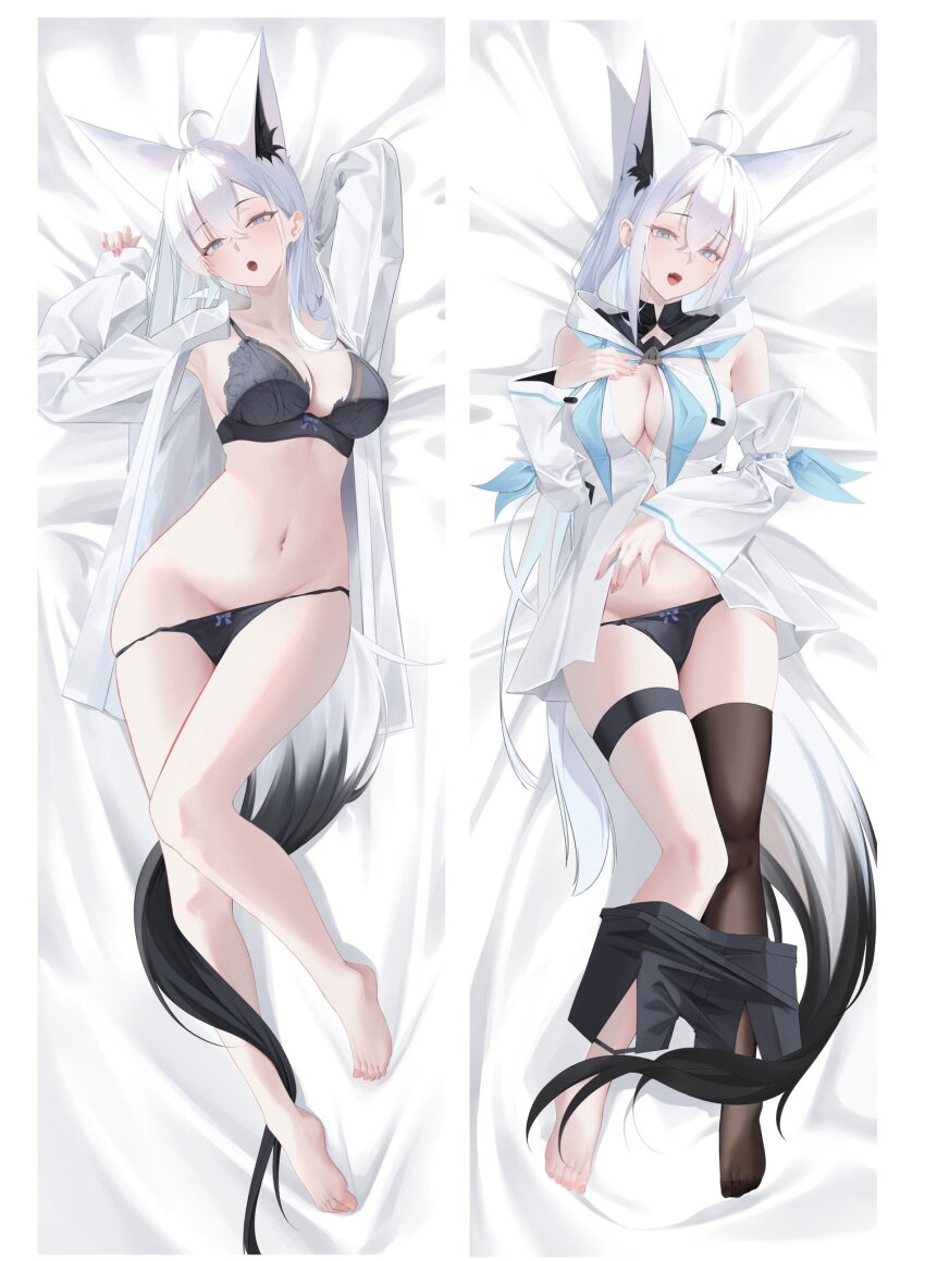 Shirakami Fubuki (Hololive) Rule 34 Image