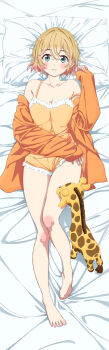 Dakimakura (Medium) Rule 34 Image