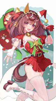 Buena Vista (Umamusume) Rule 34 Image