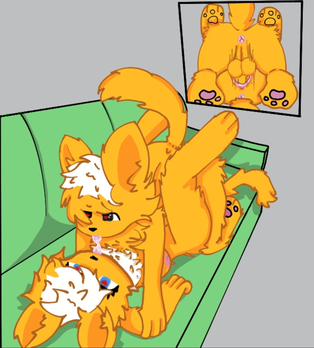 Furry Rule 34 Image