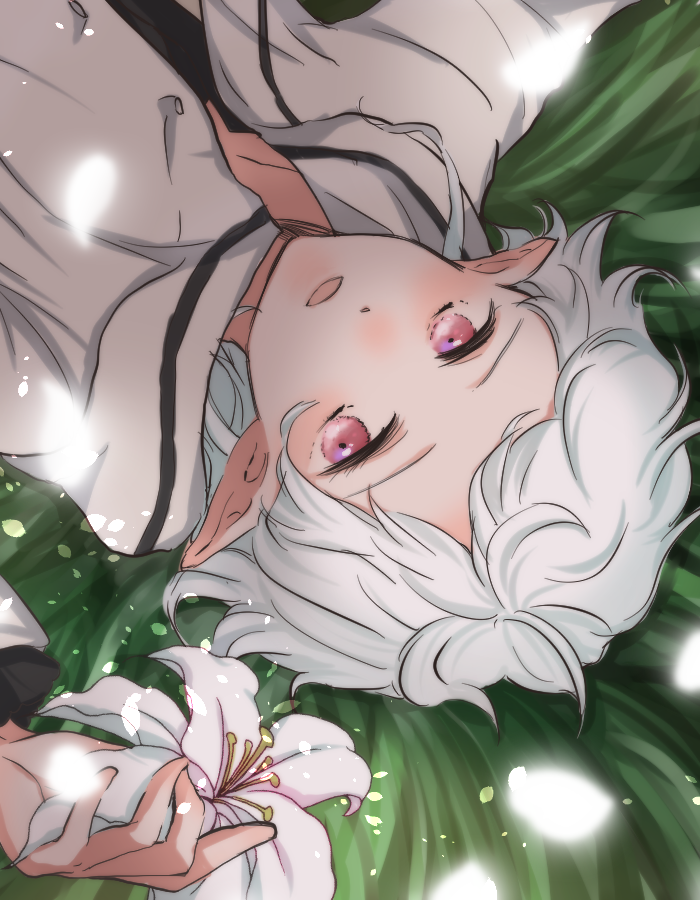 Sylphiette (Mushoku Tensei) Rule 34 Image