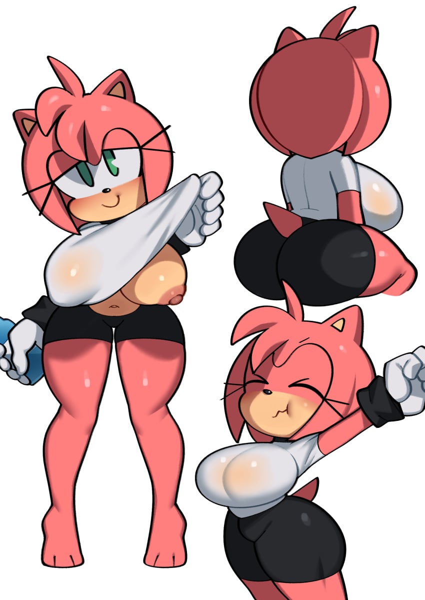 Amy Rose (Sonic (Series)) Rule 34 Image