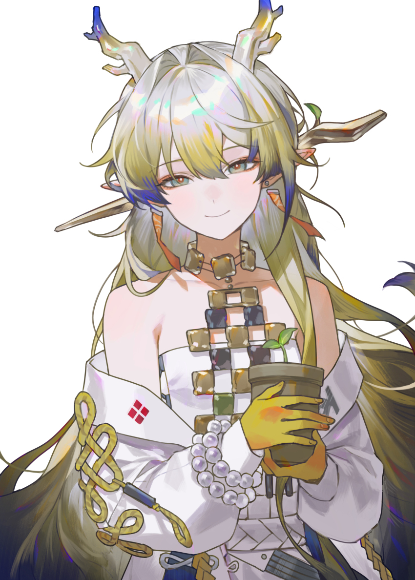 Shu (Arknights) Rule 34 Image