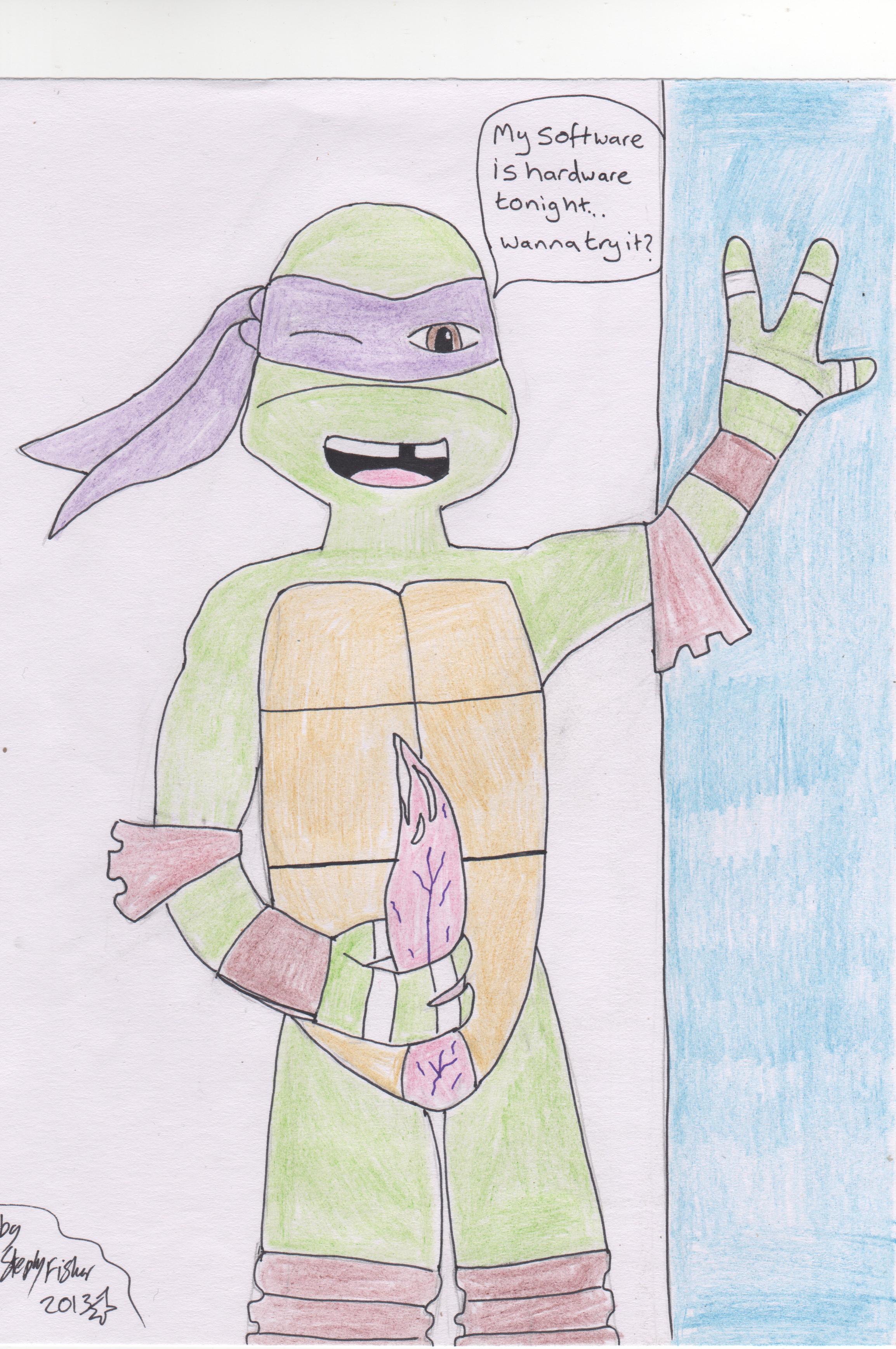Donatello (Teenage Mutant Ninja Turtles) Rule 34 Image