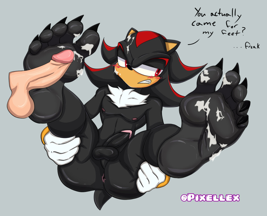 Shadow The Hedgehog (Sega) Rule 34 Image