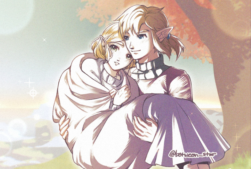 Link (Nintendo) Rule 34 Image