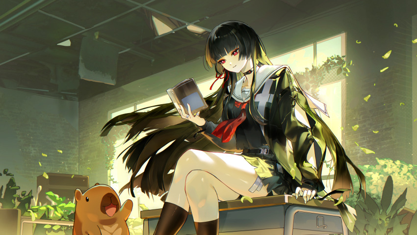 Chisa (Wuthering Waves) Rule 34 Image