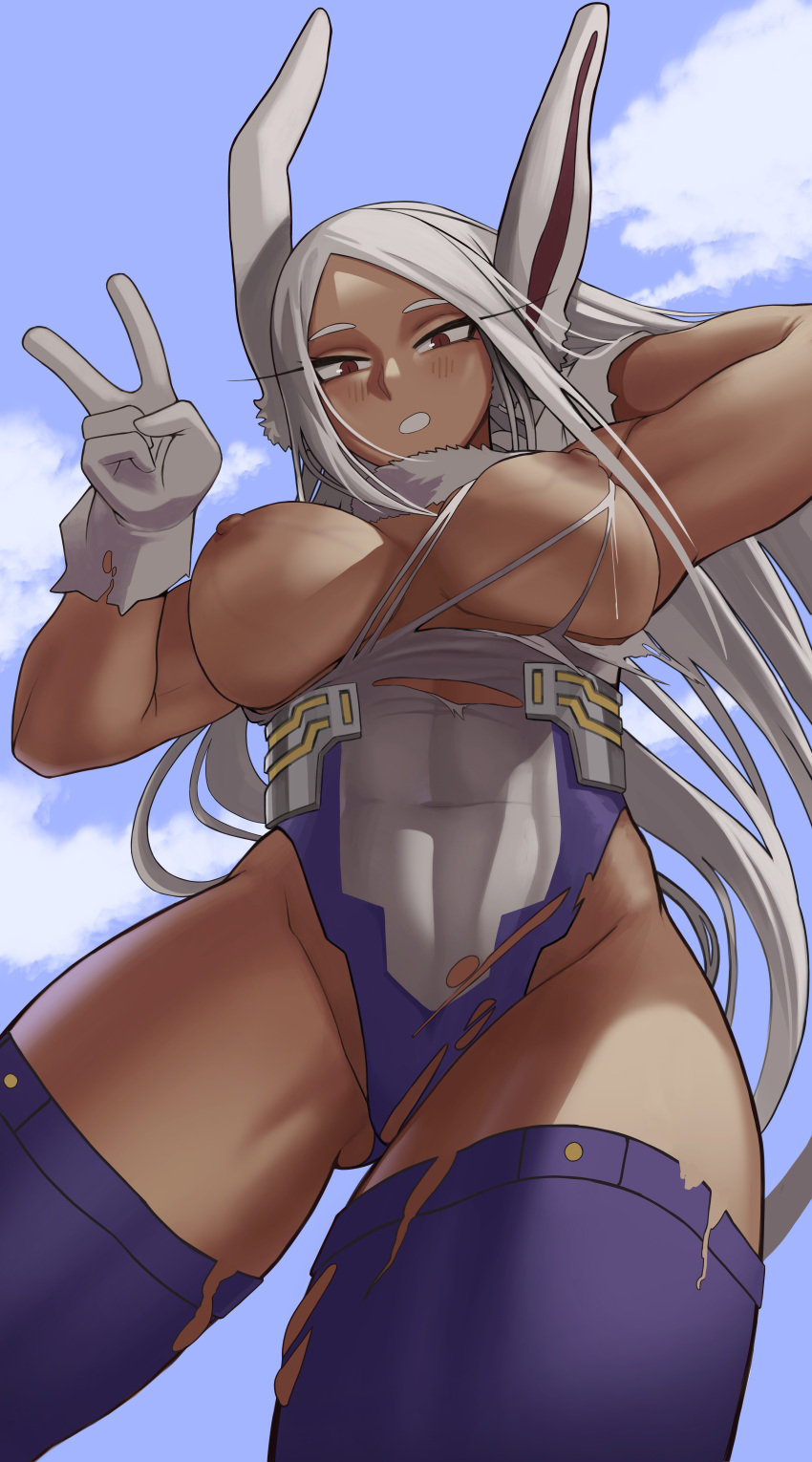 Mirko (My Hero Academia) Rule 34 Image