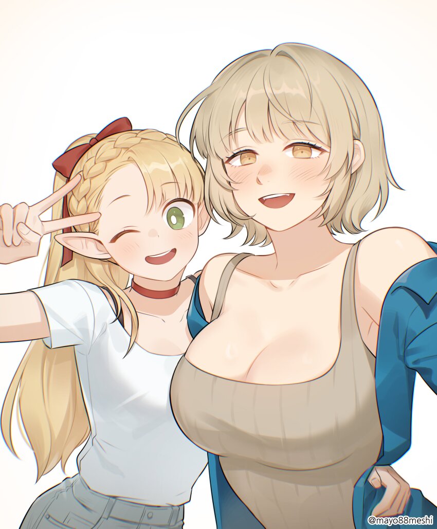 Falin Touden (Dungeon Meshi) Rule 34 Image