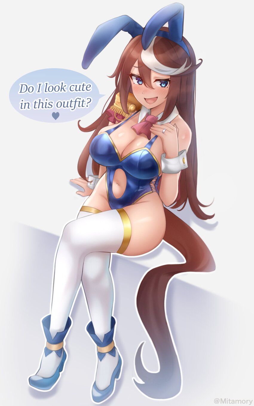 Tokai Teio (Umamusume) Rule 34 Image