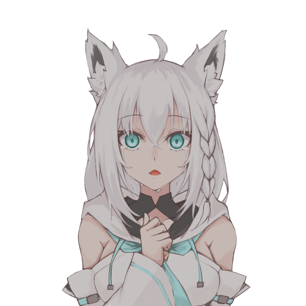 Shirakami Fubuki (Hololive) Rule 34 Image