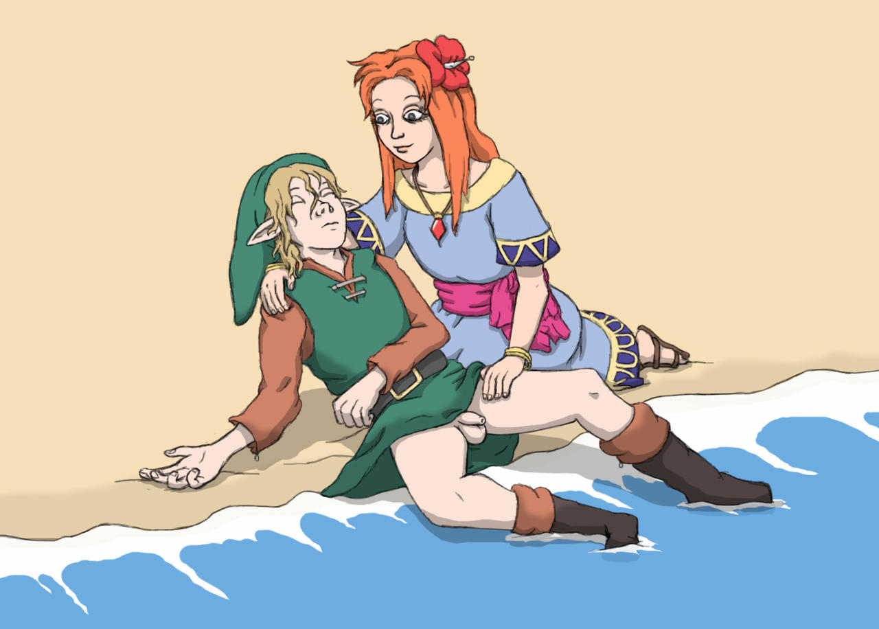Link (Link'S Awakening) Rule 34 Image