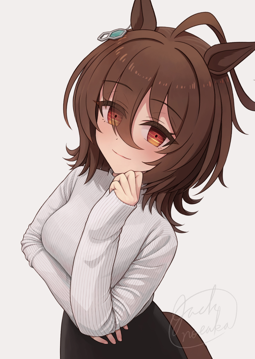Agnes Tachyon (Umamusume) Rule 34 Image