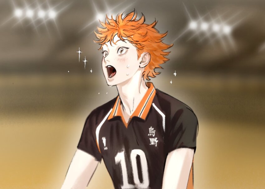 Hinata Shouyou (Haikyuu!!) Rule 34 Image