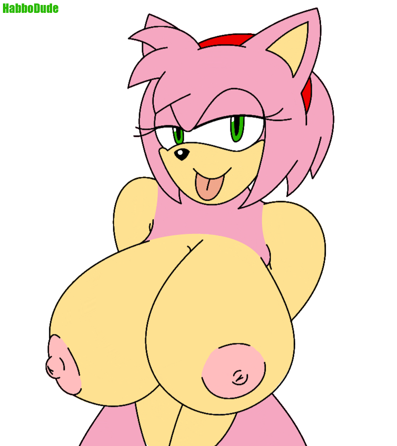 Amy Rose (Sonic (Series)) Rule 34 Image