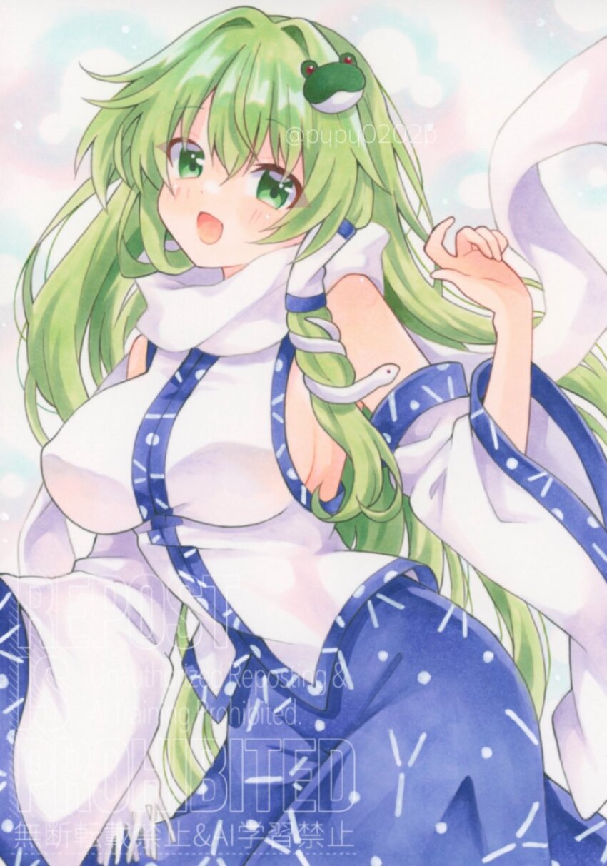 Kochiya Sanae (Touhou) Rule 34 Image