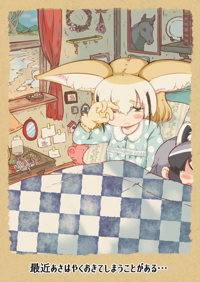 Common Raccoon (Kemono Friends) Rule 34 Image