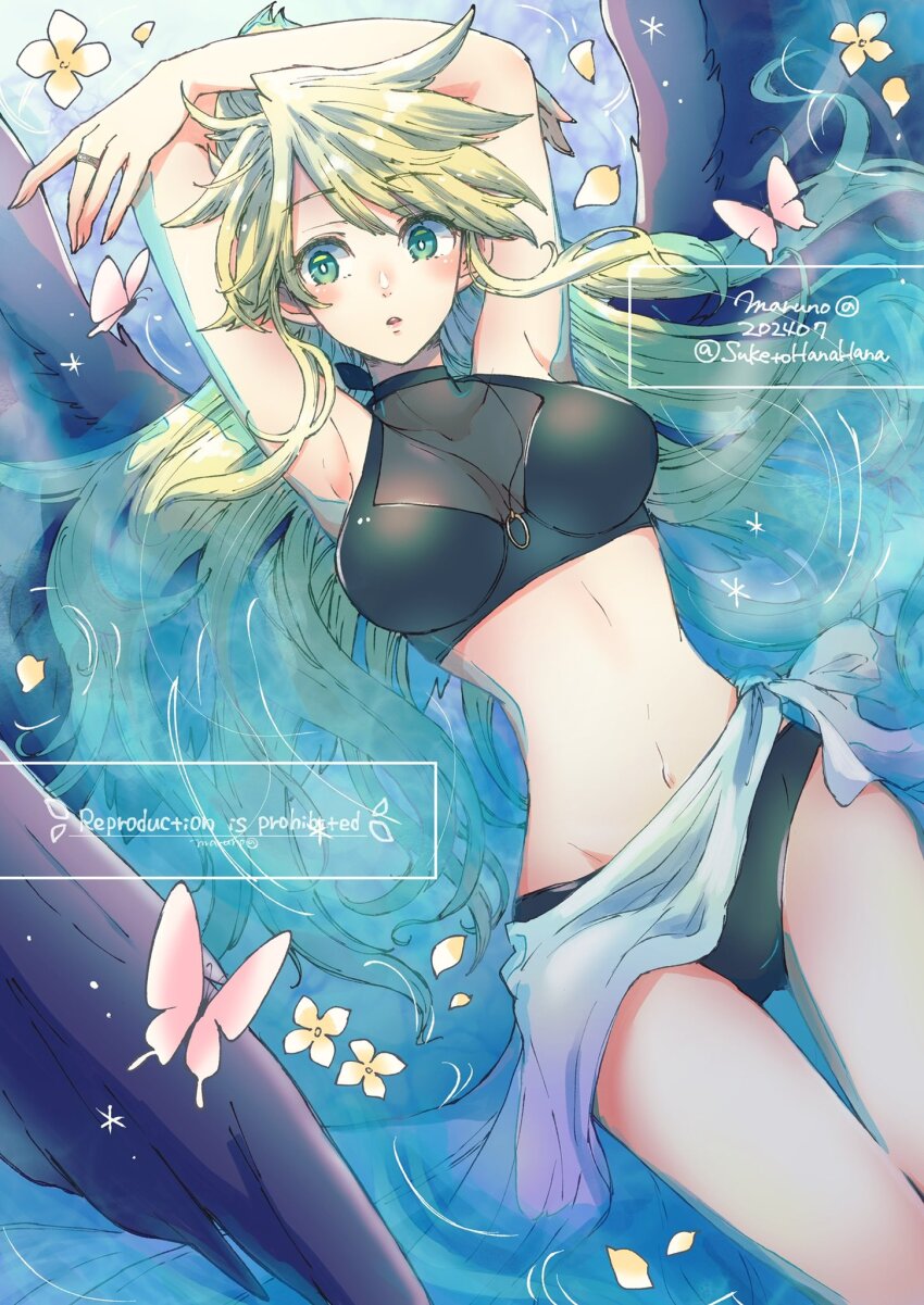 Nina (Breath Of Fire Ii) Rule 34 Image
