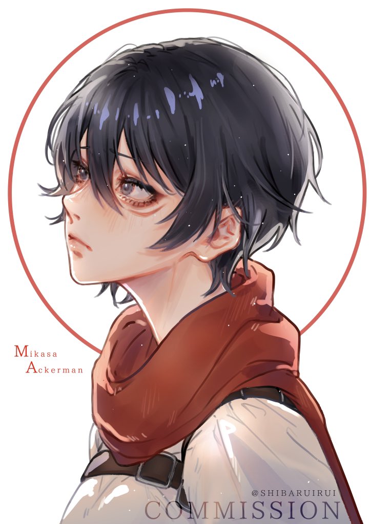 Mikasa Ackerman (Shingeki No Kyojin) Rule 34 Image