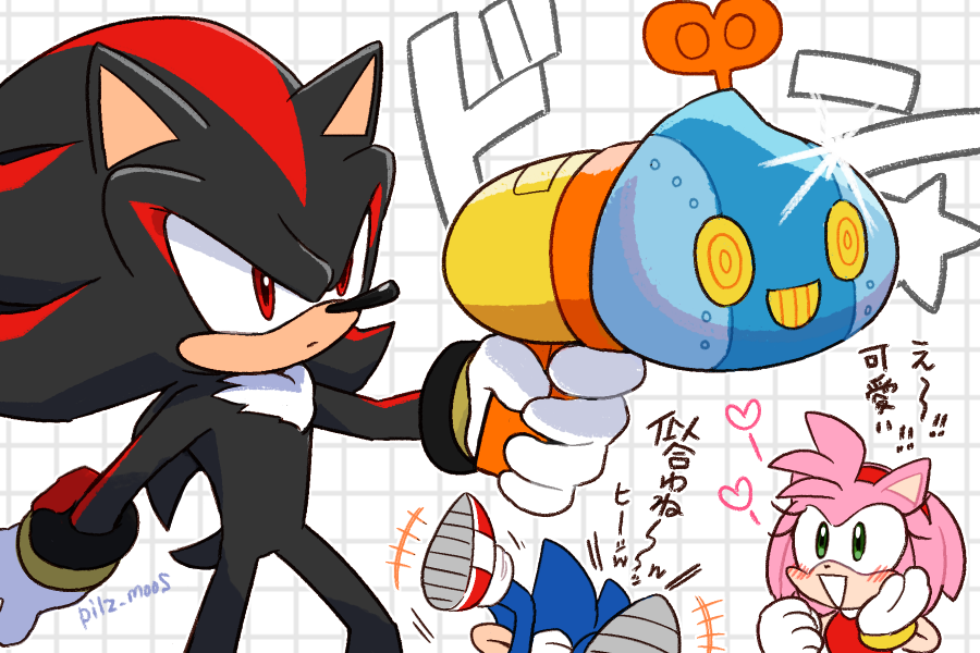 Amy Rose (Shadow The Hedgehog (Game)) Rule 34 Image