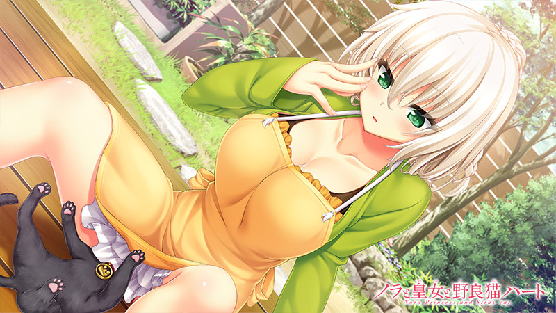 Nora To Oujo To Noraneko Heart Rule 34 Image