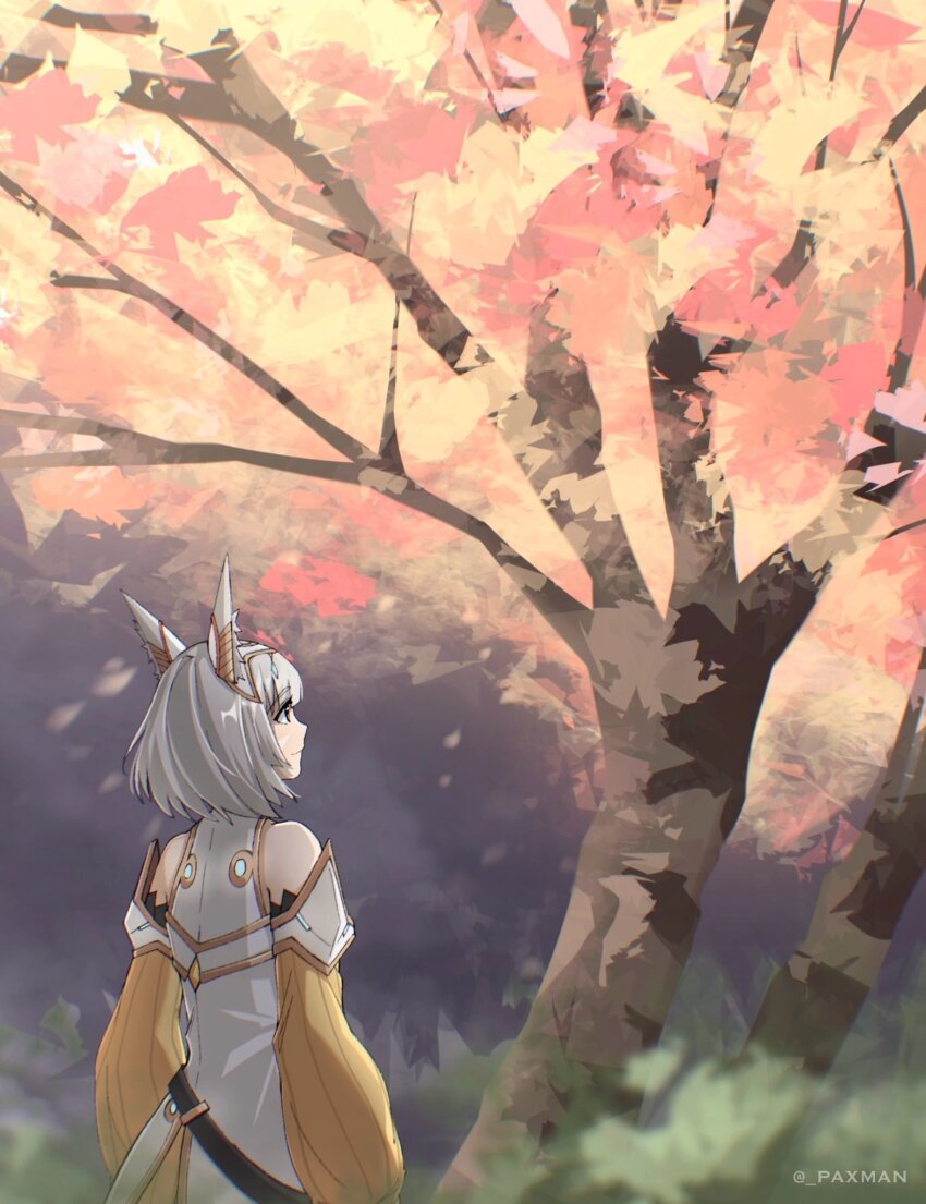 Nia (Xenoblade) Rule 34 Image
