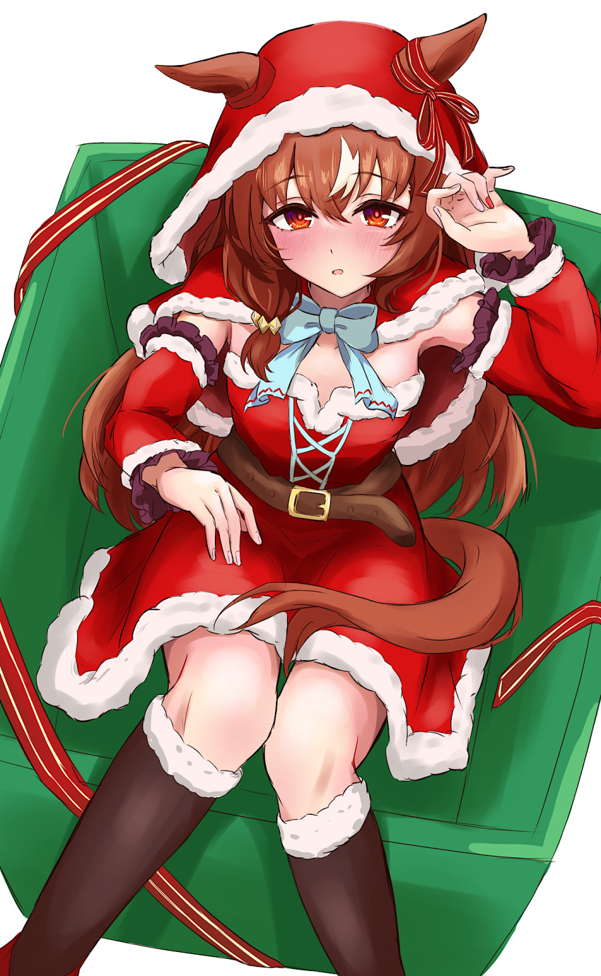 Still In Love (Umamusume) Rule 34 Image