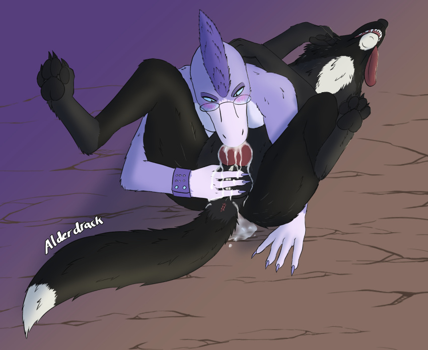 Aisling (Broodypaws) Rule 34 Image