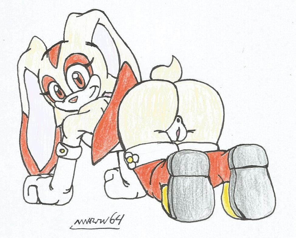 Cream The Rabbit (Sonic (Series)) Rule 34 Image