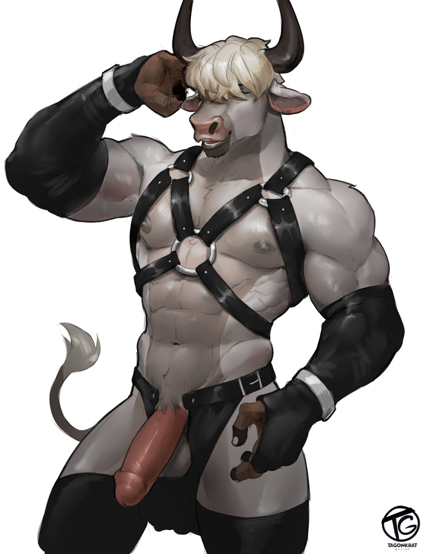 Absurd Res Rule 34 Image