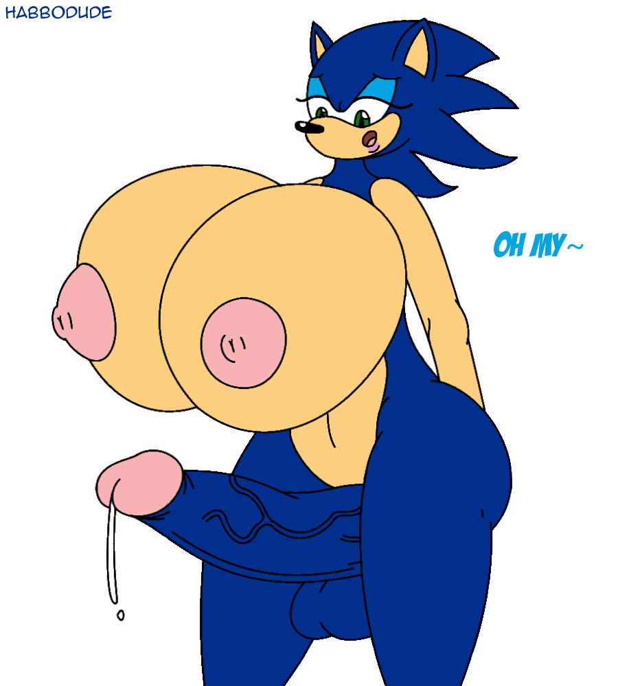 Sonic The Hedgehog (Sonic (Series)) Rule 34 Image