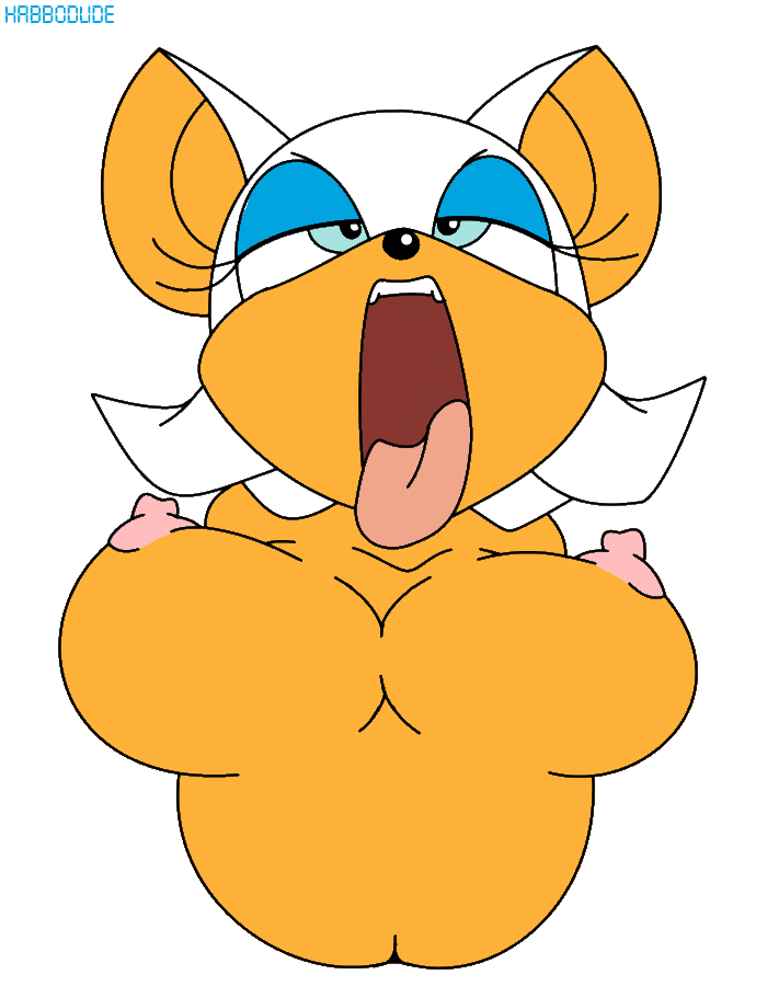 Rouge The Bat (Sonic (Series)) Rule 34 Image