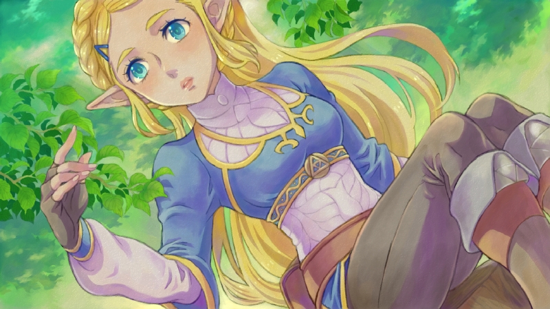 Princess Zelda (Nintendo) Rule 34 Image