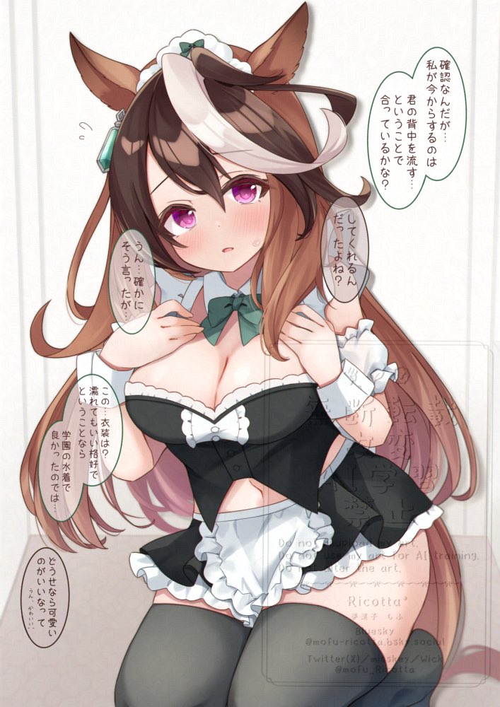 Symboli Rudolf (Umamusume) Rule 34 Image