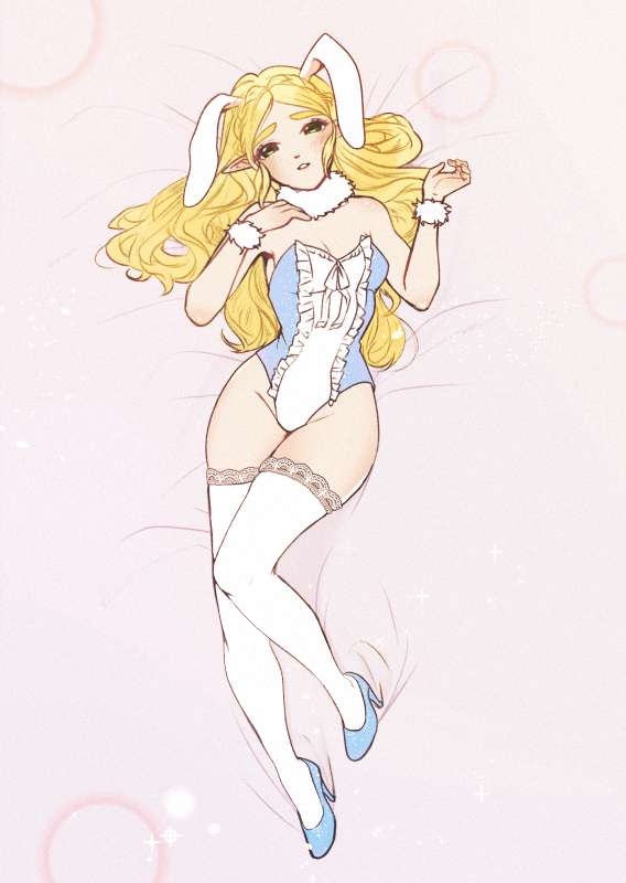 Princess Zelda (Nintendo) Rule 34 Image