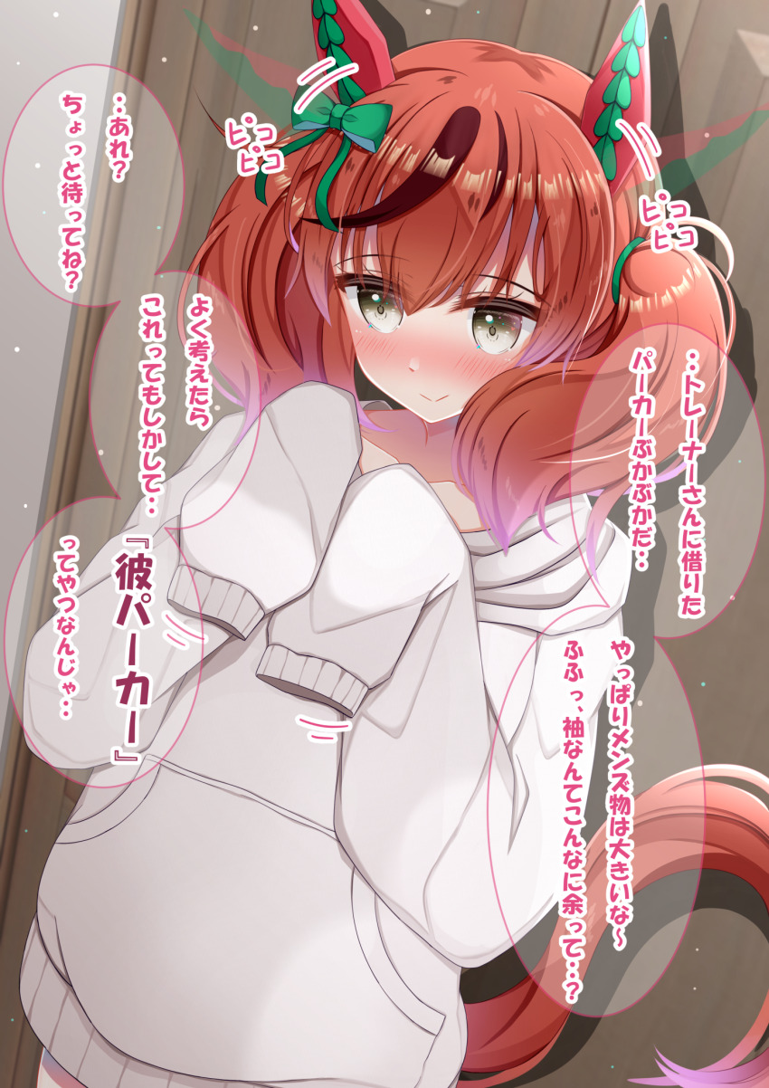 Nice Nature (Umamusume) Rule 34 Image