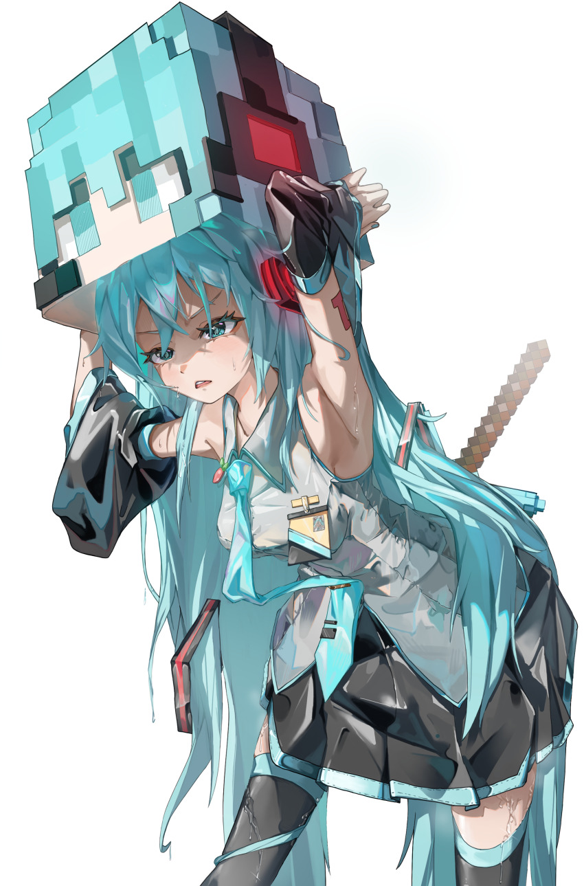 Hatsune Miku (Minecraft) Rule 34 Image
