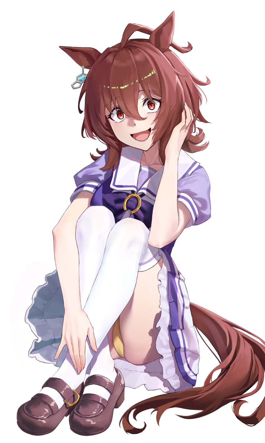 Agnes Tachyon (Umamusume) Rule 34 Image