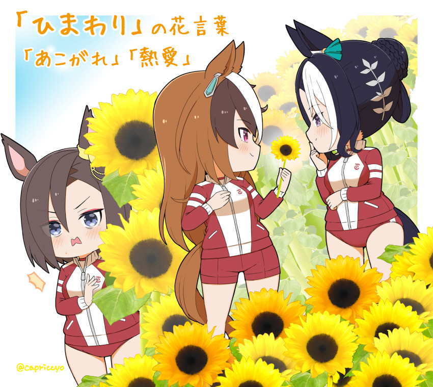 Air Groove (Umamusume) Rule 34 Image