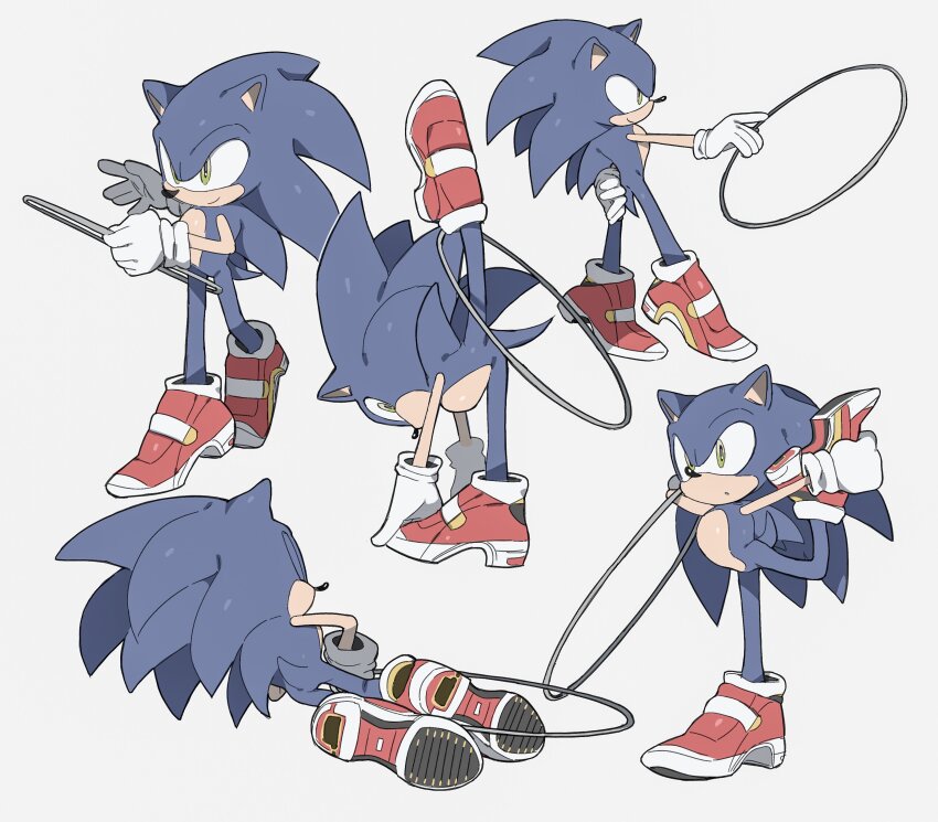 Sonic The Hedgehog (Sonic (Series)) Rule 34 Image