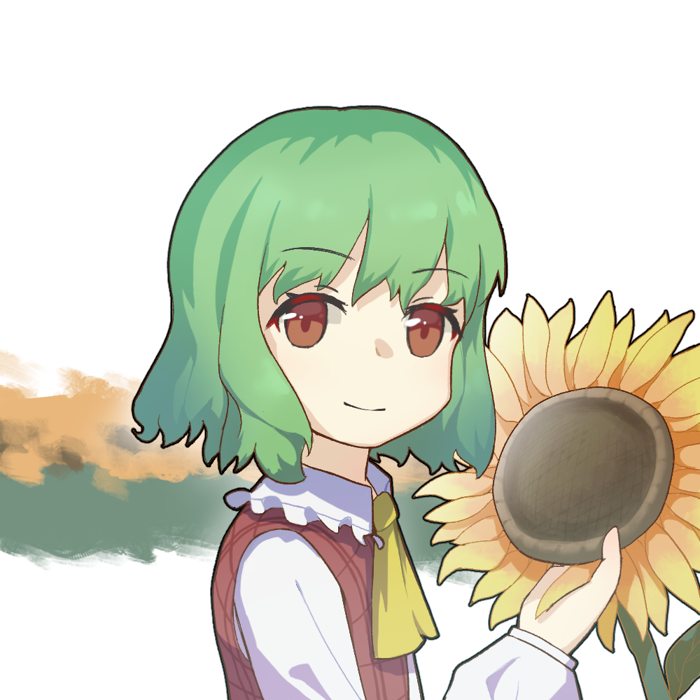 Kazami Yuuka (Touhou) Rule 34 Image