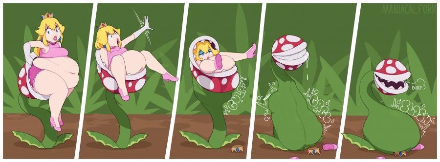 Piranha Plant (Mario (Series)) Rule 34 Image