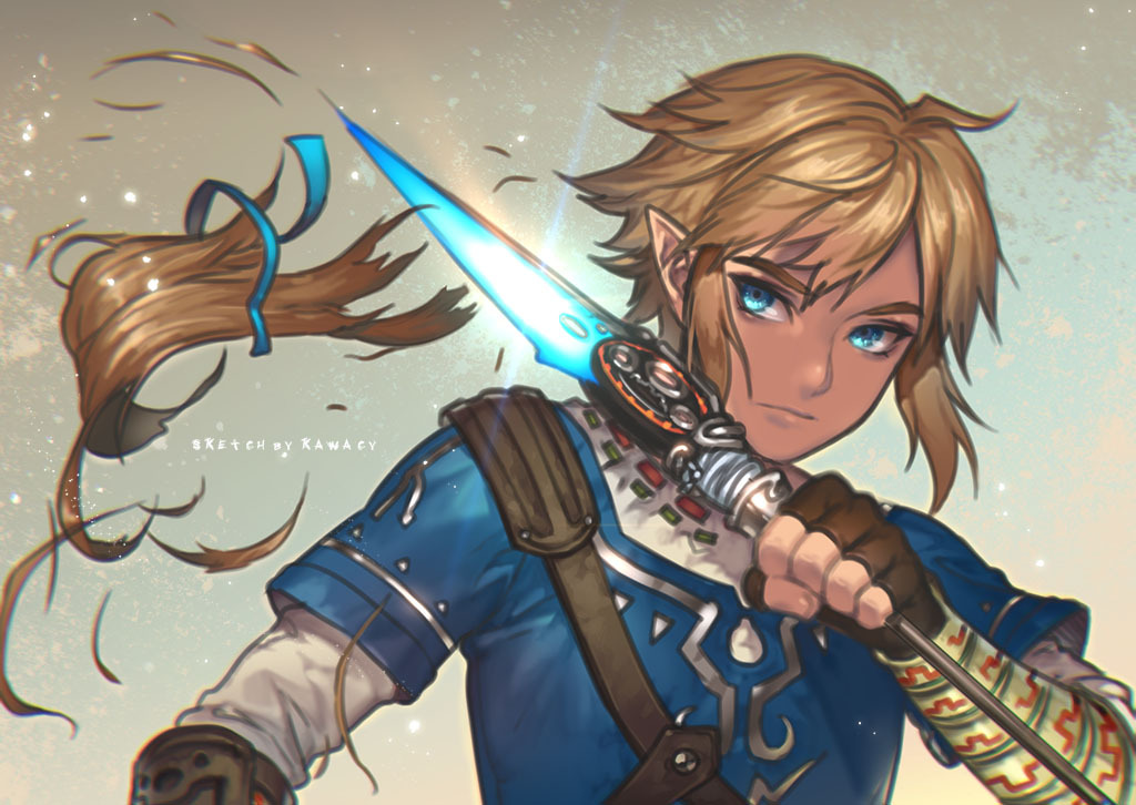Link (Nintendo) Rule 34 Image