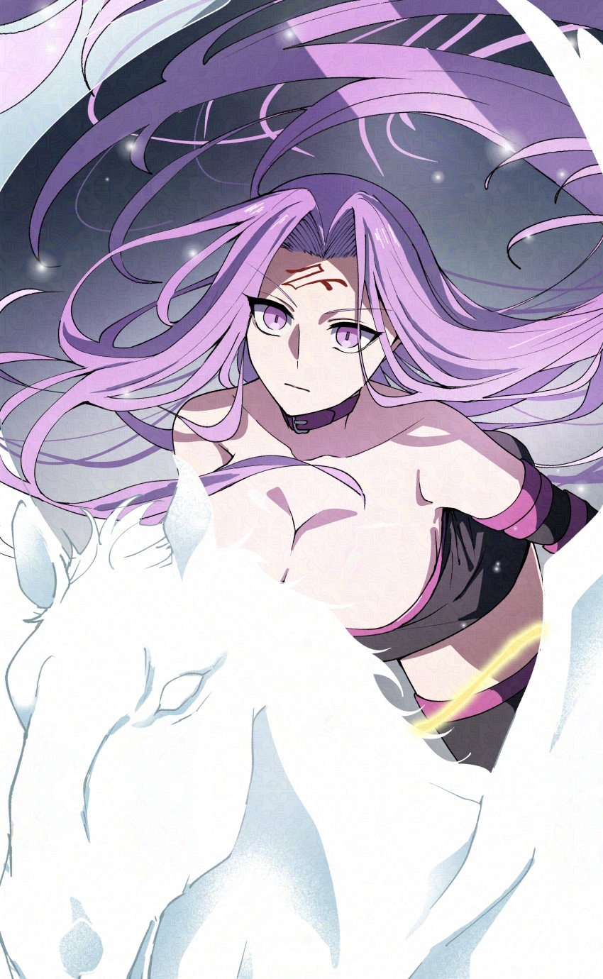 Medusa (Fate) Rule 34 Image