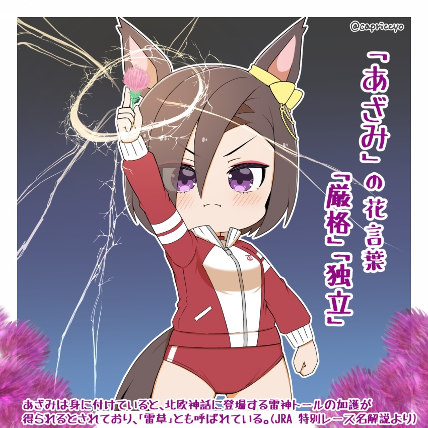 Air Groove (Umamusume) Rule 34 Image