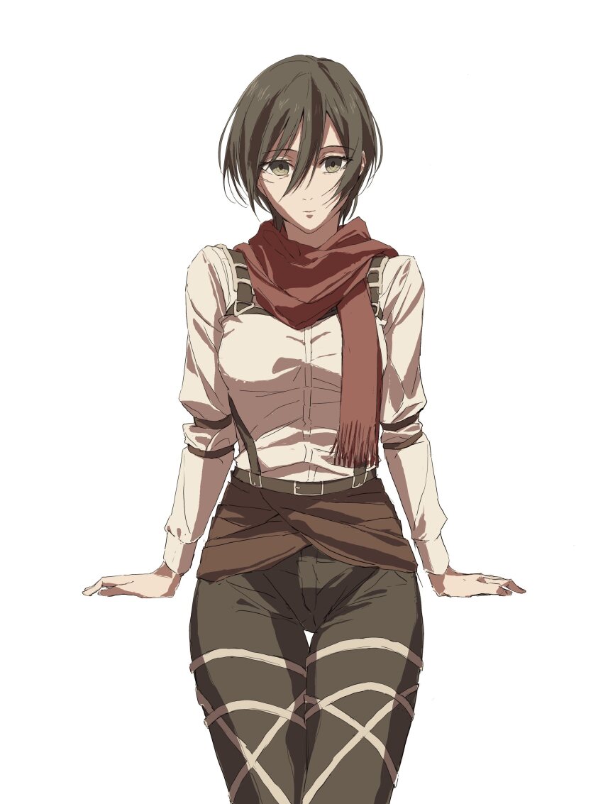 Mikasa Ackerman (Shingeki No Kyojin) Rule 34 Image