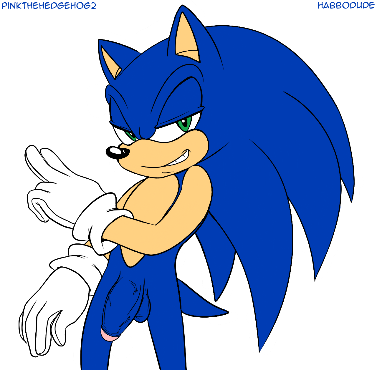 Sonic The Hedgehog (Sega) Rule 34 Image