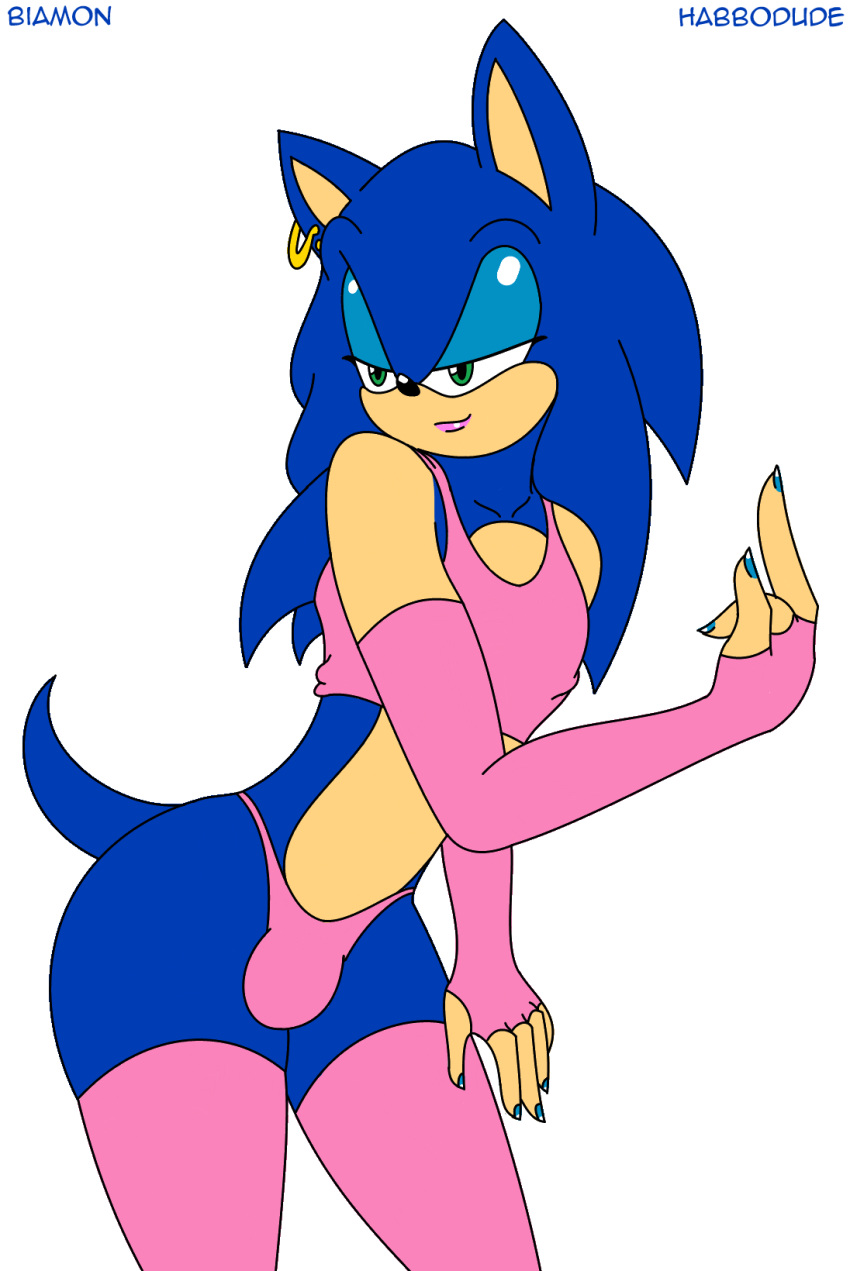 Sonic The Hedgehog (Sega) Rule 34 Image