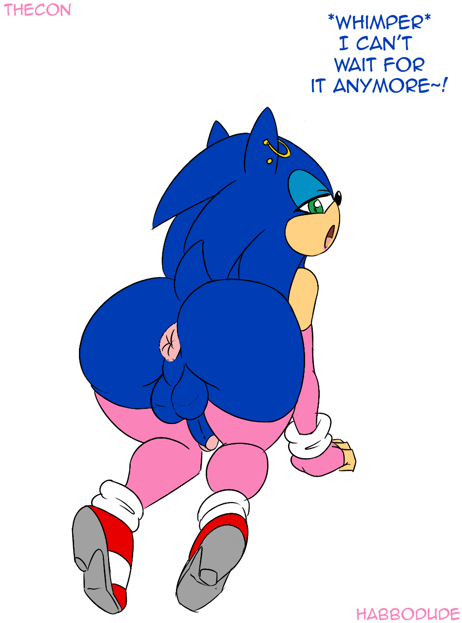 Sonic The Hedgehog (Sega) Rule 34 Image