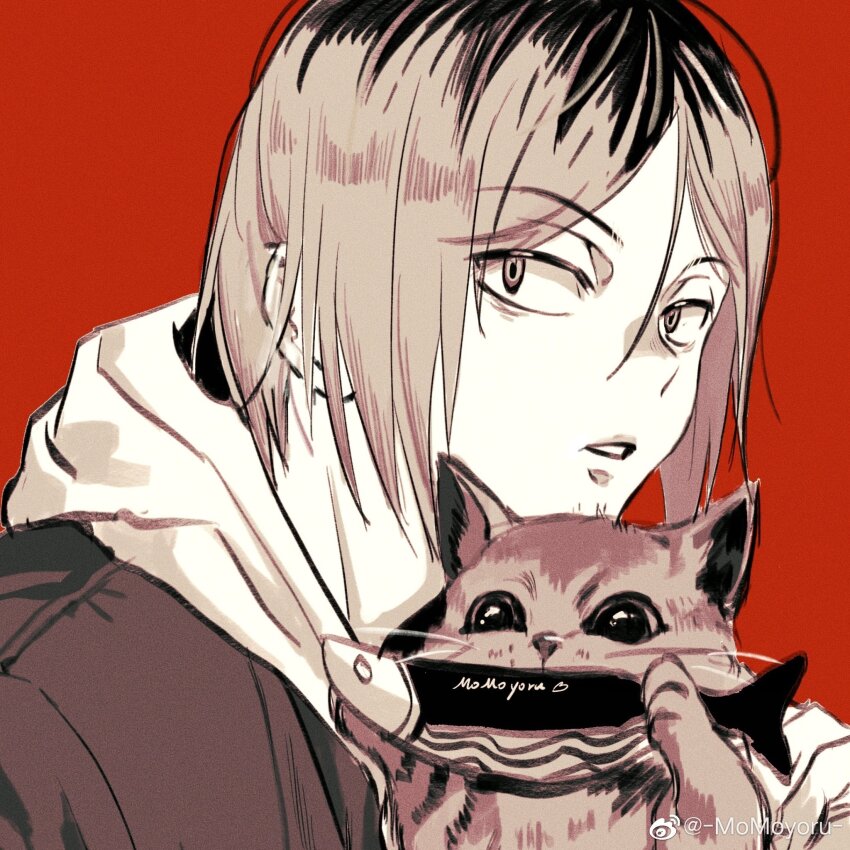 Haikyuu!! Rule 34 Image